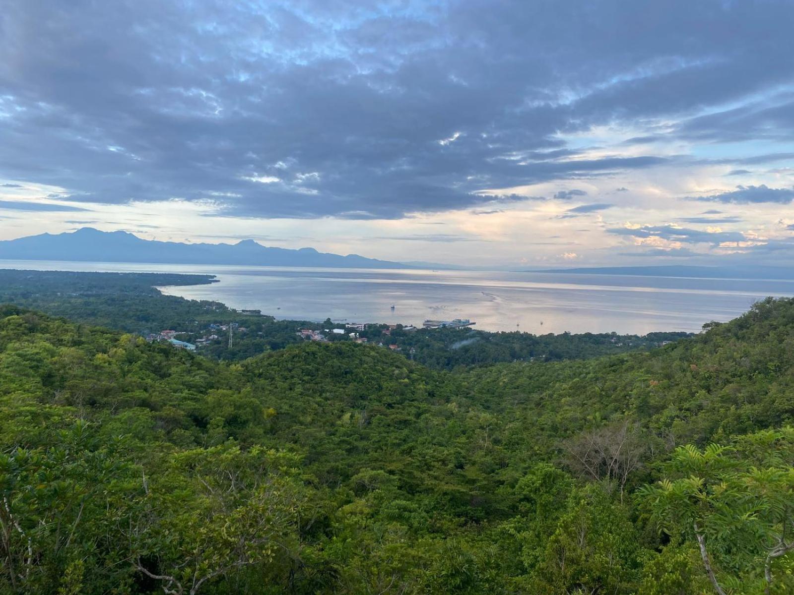 Thornton'S Sea View Cafe & Guesthouse Siquijor Esterno foto